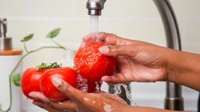 Hands holding tomatoes under water in sink.